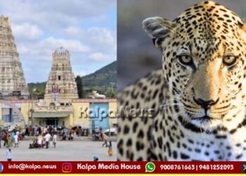 ಮಲೆ ಮಹದೇಶ್ವರ ಬೆಟ್ಟ | ಕಾಲ್ನಡಿಗೆಯಲ್ಲಿ ಹೊರಟಿದ್ದ ಬಾಲಕ ಚಿರತೆಗೆ ಬಲಿ | ಭಕ್ತರಲ್ಲಿ ಆತಂಕ