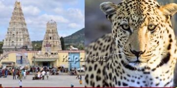 ಮಲೆ ಮಹದೇಶ್ವರ ಬೆಟ್ಟ | ಕಾಲ್ನಡಿಗೆಯಲ್ಲಿ ಹೊರಟಿದ್ದ ಬಾಲಕ ಚಿರತೆಗೆ ಬಲಿ | ಭಕ್ತರಲ್ಲಿ ಆತಂಕ