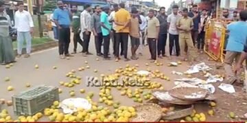 ಶಿರಾಳಕೊಪ್ಪ | ರಸ್ತೆಗೆ ಮಾವಿನ ಹಣ್ಣು ಸುರಿದು ವ್ಯಾಪಾರಿಯ ಆಕ್ರೋಶ! ಕಾರಣವೇನು?
