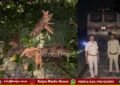 ಮಳೆಗಾಳಿಗೆ ಉರುಳಿದ ಮರ, ಗಂಟೆಗಟ್ಟಲೇ ರೈಲು ಸಂಚಾರ ವ್ಯತ್ಯಯ