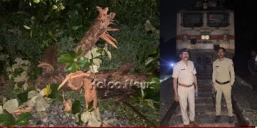 ಮಳೆಗಾಳಿಗೆ ಉರುಳಿದ ಮರ, ಗಂಟೆಗಟ್ಟಲೇ ರೈಲು ಸಂಚಾರ ವ್ಯತ್ಯಯ