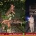 ಮಳೆಗಾಳಿಗೆ ಉರುಳಿದ ಮರ, ಗಂಟೆಗಟ್ಟಲೇ ರೈಲು ಸಂಚಾರ ವ್ಯತ್ಯಯ