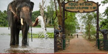 ಸಕ್ರೆಬೈಲು ಆನೆ ಬಿಡಾರಕ್ಕೆ ಪ್ರವಾಸಿಗರ ಪ್ರವೇಶ ನಿಷೇಧ! ಎಷ್ಟು ದಿನ? ಕಾರಣವೇನು?