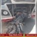 ಬಸ್ಸು – ಬೈಕ್‌ ನಡುವೆ ಡಿಕ್ಕಿ, ಭೀಕರ ಅಪಘಾತದಲ್ಲಿ ಓರ್ವ ಸಾವು
