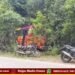 ಚಾಲಕನ ನಿಯಂತ್ರಣ ತಪ್ಪಿ ಕಾಡಿಗೆ ನುಗ್ಗಿದ ಬಸ್