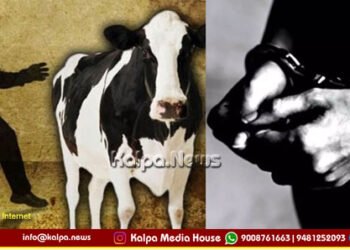Attempted theft of cows near Thirthahalli