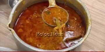 ಹಾಸ್ಟೆಲ್‌ ಸಾಂಬಾರ್‌ನಲ್ಲಿ ಹಲ್ಲಿ ಪತ್ತೆ | ಕೃಷಿ ವಿಜ್ಞಾನ ಕಾಲೇಜಿನ 15 ವಿದ್ಯಾರ್ಥಿನಿಯರು ಅಸ್ವಸ್ಥ