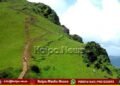 injured tiger roams in Chikkamagaluru hills
