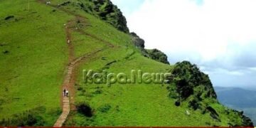injured tiger roams in Chikkamagaluru hills