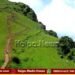 injured tiger roams in Chikkamagaluru hills