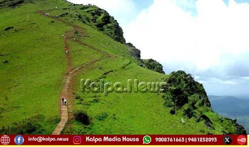 injured tiger roams in Chikkamagaluru hills