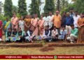 ವಿಶ್ವ ಪರಿಸರ ದಿನಾಚರಣೆ: ಅಮರಜ್ಯೋತಿ ಪಿಯು ಕಾಲೇಜಿನಲ್ಲಿ ಸಸ್ಯೋದ್ಯಾನ ಉದ್ಘಾಟನೆ