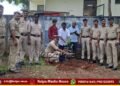 Plant trees and protect environment
