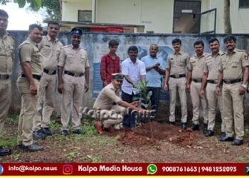 Plant trees and protect environment