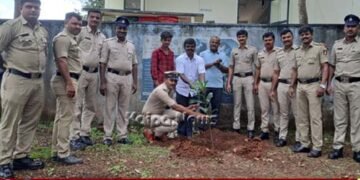 Plant trees and protect environment