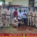 Plant trees and protect environment