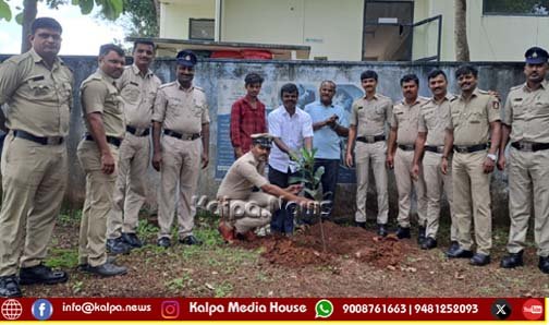 Plant trees and protect environment