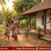 ತವರು ಮನೆ calling… ಅಂತ ಇದ್ದ ಬೇಸಿಗೆ ರಜೆ ಮುಗಿದೇ ಹೋಯಿತೆ?