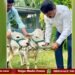 ಮಣ್ಣೆತ್ತಿನ ಅಮಾವಾಸ್ಯೆ | ಗೋಮಾತೆಗೆ ಸಂಸದ ರಾಘವೇಂದ್ರ ವಿಶೇಷ ಪೂಜೆ ಸಲ್ಲಿಕೆ
