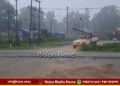 Heavy Rains Lash in Shivamogga Hundreds of Electric Poles Collapse