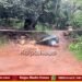 ಚಲಿಸುತ್ತಿದ್ದ ಬೈಕ್ ಮೇಲೆ ಮರದ ರೆಂಬೆ ಬಿದ್ದು ಯುವಕ ಸಾವು, ಮತ್ತೋರ್ವ ಗಂಭೀರ ಗಾಯ