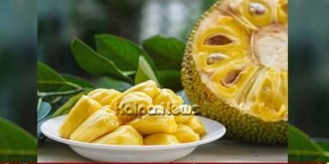 ಶಿವಮೊಗ್ಗ | ಜುಲೈ 5ರವರೆಗೆ ಹಲಸು – ಮಾವು ಮೇಳ