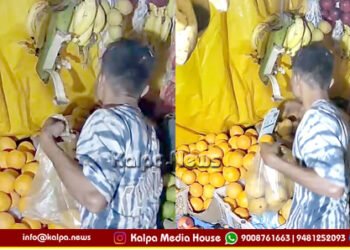 Theft Thief Caught Stealing Mangoes and Pomegranates CCTV Sensor Alert Foils Attempt in Sagar