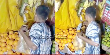 Theft Thief Caught Stealing Mangoes and Pomegranates CCTV Sensor Alert Foils Attempt in Sagar