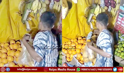 Theft Thief Caught Stealing Mangoes and Pomegranates CCTV Sensor Alert Foils Attempt in Sagar
