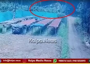 bus-crashes-arecanut-plantation-one-dead