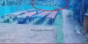 bus-crashes-arecanut-plantation-one-dead