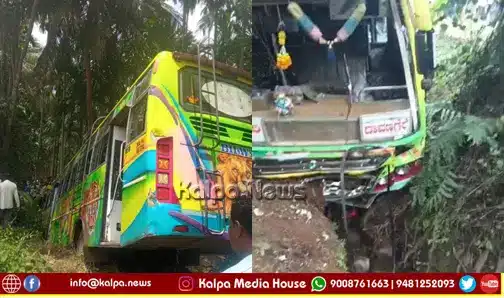 Bhadravathi Private Bus Crash Arecanut Plantation copy