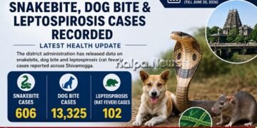 shivamogga-district-snake-dog-bite-rat-fever-statistics