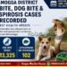 shivamogga-district-snake-dog-bite-rat-fever-statistics