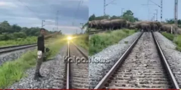 assam-90-elephants-cross-railway-track-train-stopped