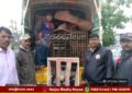 Holehonnur Monkey Captured By Forest Dept Shivamogga