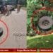 KSRTC Udupi-Shivamogga Bus Tyre Detachment Near Agumbe