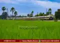 MEMU Train Services 72 Days Partially Cancelled in Bangalore
