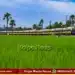 MEMU Train Services 72 Days Partially Cancelled in Bangalore
