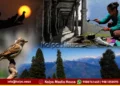 World Photography Day : Mountain Life From Ruins to Peaks