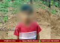 Sagara 8 Years Old Boy Dies Due to Paper Wasps Attack