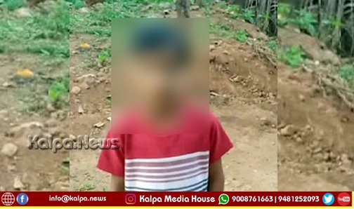 Sagara 8 Years Old Boy Dies Due to Paper Wasps Attack