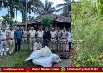 sagara police raid ganja-seized-two-arrested