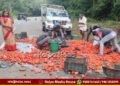 Sagara Tempo Accident Tomatoes Spilled On Road