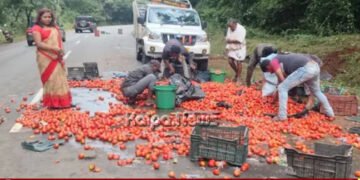 Sagara Tempo Accident Tomatoes Spilled On Road