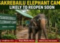 Sakrebailu Elephant Camp Likely to Reopen Soon