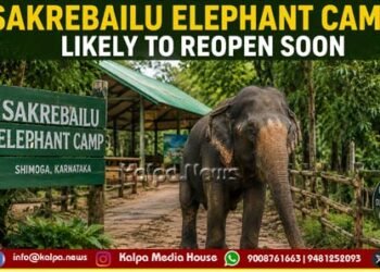Sakrebailu Elephant Camp Likely to Reopen Soon