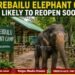 Sakrebailu Elephant Camp Likely to Reopen Soon