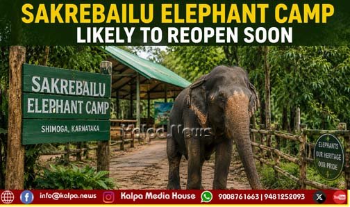 Sakrebailu Elephant Camp Likely to Reopen Soon