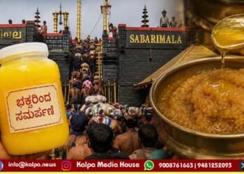 devotees-donated-ghee-use-in-shabarimala-prasadam